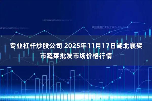 专业杠杆炒股公司 2025年11月17日湖北襄樊市蔬菜批发市场价格行情
