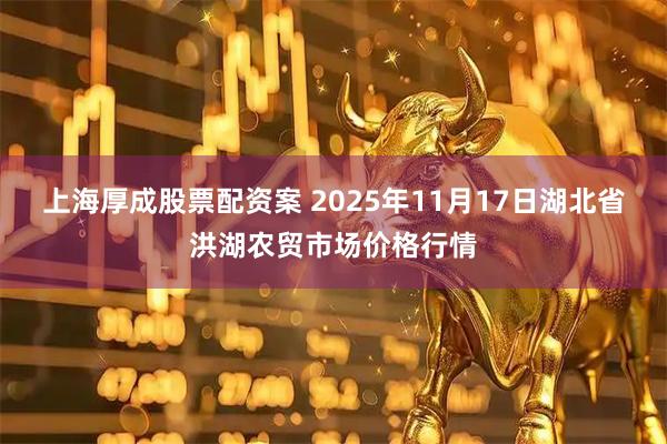 上海厚成股票配资案 2025年11月17日湖北省洪湖农贸市场价格行情