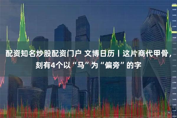 配资知名炒股配资门户 文博日历丨这片商代甲骨，刻有4个以“马”为“偏旁”的字
