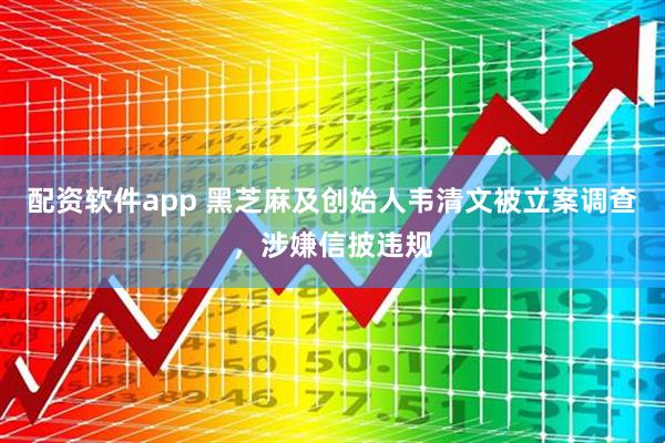 配资软件app 黑芝麻及创始人韦清文被立案调查，涉嫌信披违规