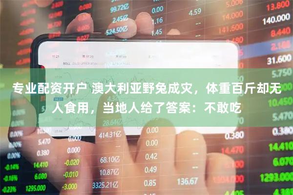 专业配资开户 澳大利亚野兔成灾，体重百斤却无人食用，当地人给了答案：不敢吃